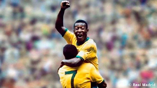 嫩草影院永久在线播放